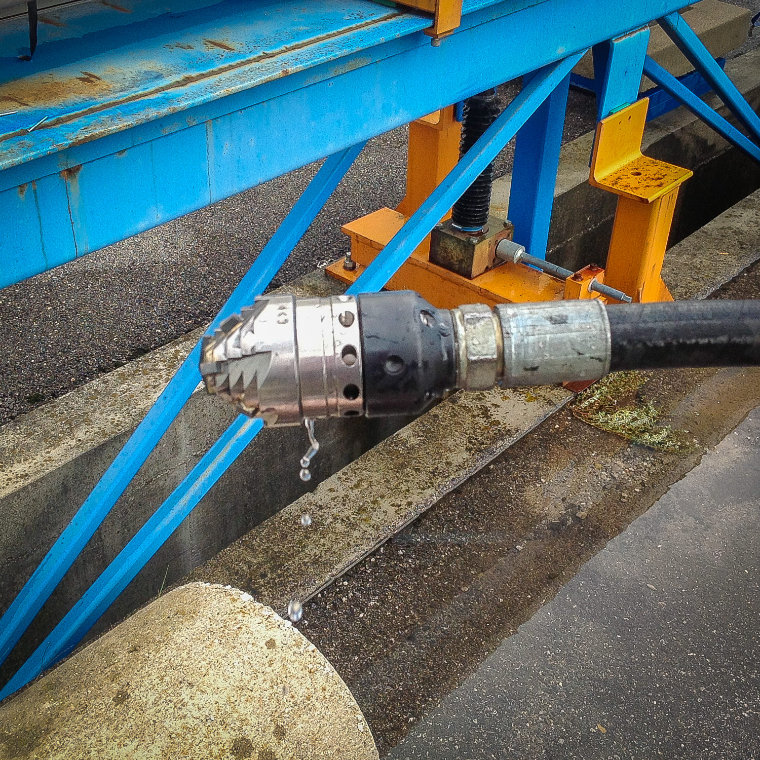 Avian Turbina in azione