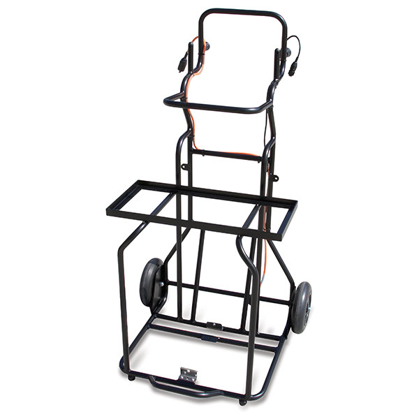 Trolley per videoispezione