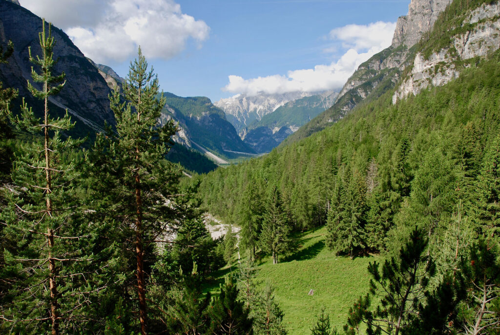 Una foto del Parco Naturale delle Dolomiti Friulane, patrimonio dell'Unesco